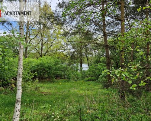 Działki z linią brzegową jeziora