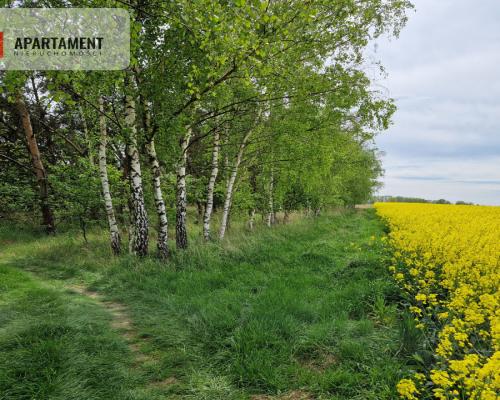 Działki z linią brzegową jeziora