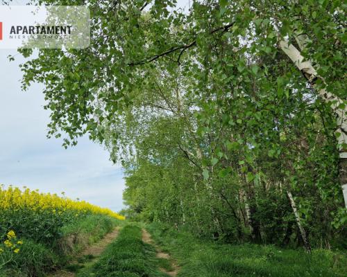 Działki z linią brzegową jeziora