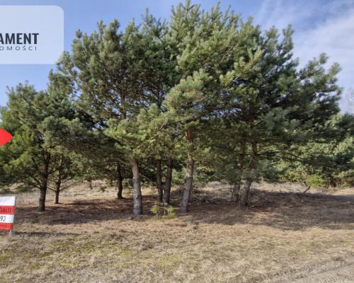 Bory Tucholskie – działka 1195 mkw pod budowę domu