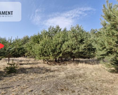 Bory Tucholskie – działka 1195 mkw pod budowę domu