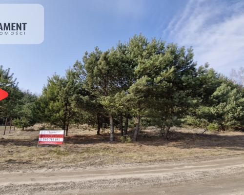 Bory Tucholskie – działka 1195 mkw pod budowę domu