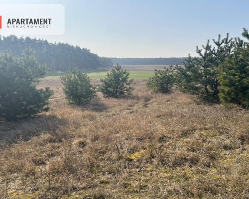 Działka budowlana w Oporówku