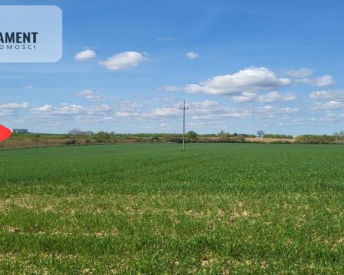 Działki Rolne Śmielin