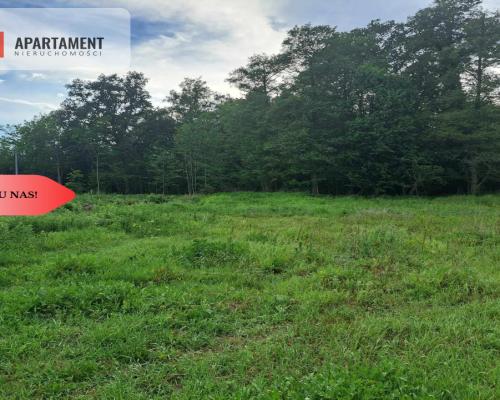 Działka z widokim na las 35 km od Wrocławia!