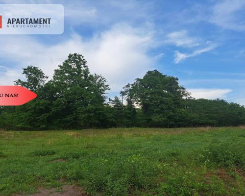 Działka z widokim na las 35 km od Wrocławia!