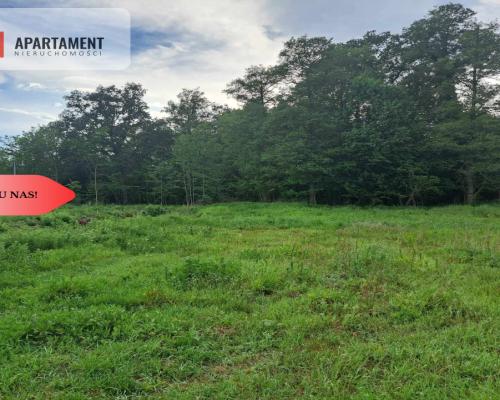 Działka z widokim na las 35 km od Wrocławia!