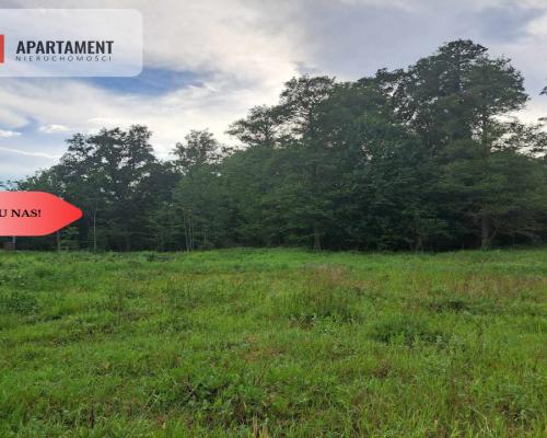 Działka z widokim na las 35 km od Wrocławia!