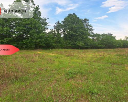 Działka z widokim na las 35 km od Wrocławia!