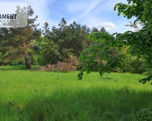 Wymarzona działka w zielonej okolicy - Czarnków