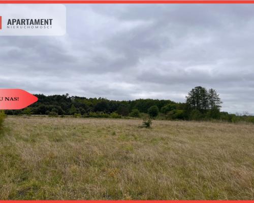 *Działka 1000m2 z WZ