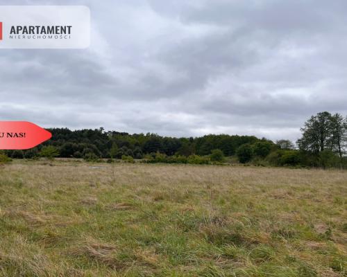 *Działka 1000m2 z WZ