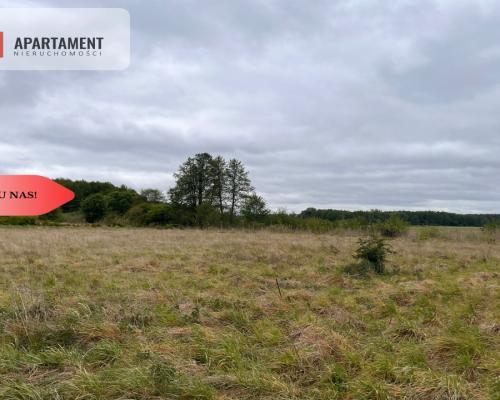 *Działka 1000m2 z WZ