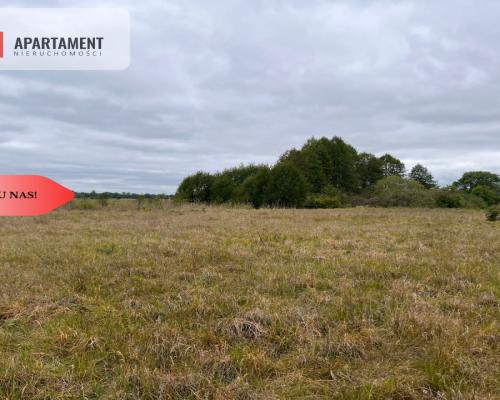 *Działka 1000m2 z WZ