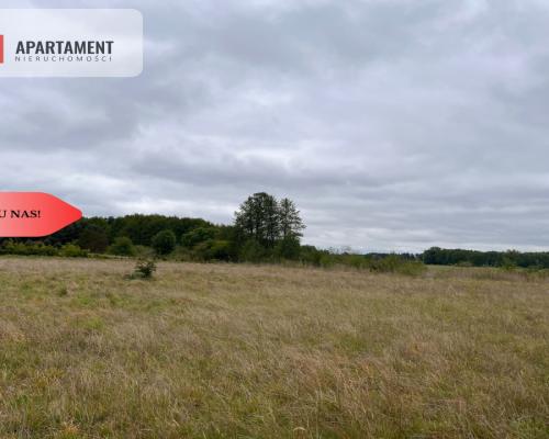 *Działka 1000m2 z WZ