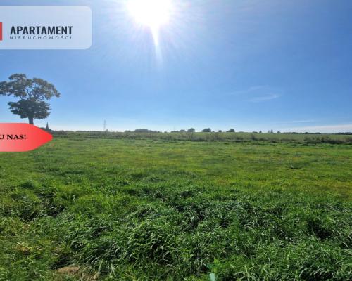 TYLKO U NAS! DUŻA DZIAŁKA Z  WZ! DOM DO 250m2!