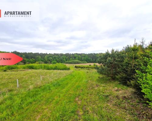 Działki w Miradowie i Bietowie. Promocja