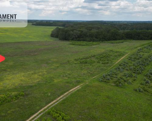 Działki w Miradowie i Bietowie. Promocja