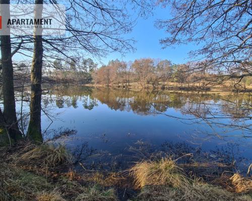 Działka przy brzegu rzeki Brdy!!!