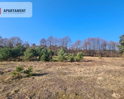 Działka przy brzegu rzeki Brdy!!!