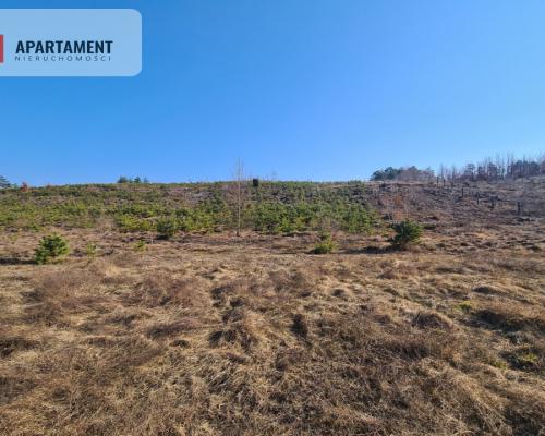 Działka przy brzegu rzeki Brdy!!!