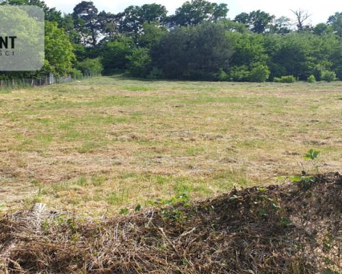 Działka/29 arów/Stęszów