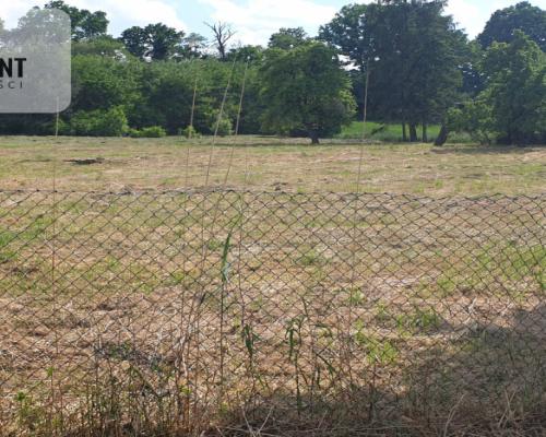 Działka/29 arów/Stęszów