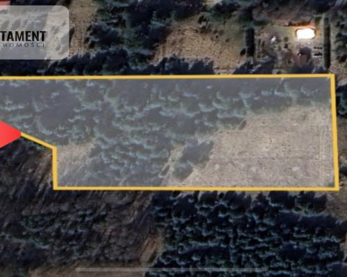 Działki w Osowie Leśnym