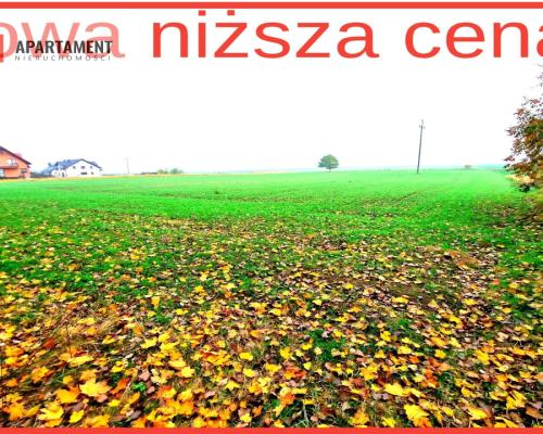 Działka z WZ zaledwie 4 km od Człuchowa!