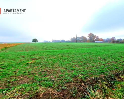Działka z WZ zaledwie 4 km od Człuchowa!