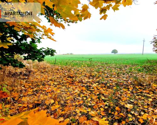 Działka z WZ zaledwie 4 km od Człuchowa!