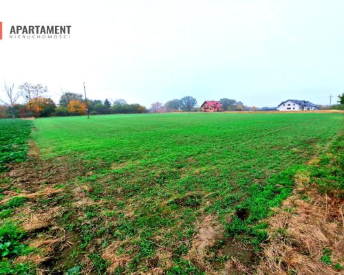 Działka z WZ zaledwie 4 km od Człuchowa!