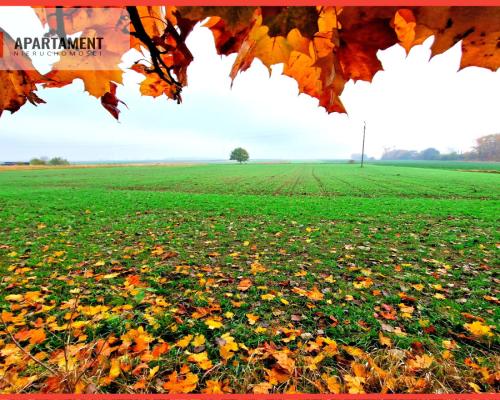Działka z WZ zaledwie 4 km od Człuchowa!
