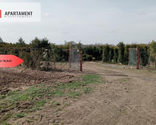 Duża działka 1,73 ha/szkółka drzew iglastych...