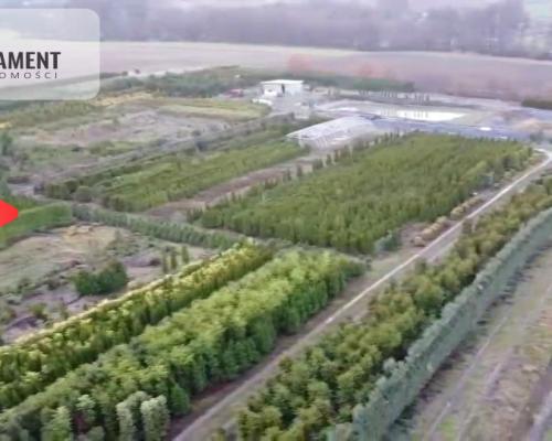 Duża działka 1,73 ha/szkółka drzew iglastych...