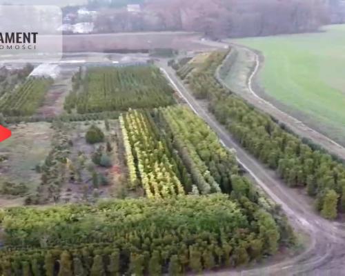 Duża działka 1,73 ha/szkółka drzew iglastych...