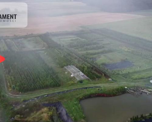Duża działka 1,73 ha/szkółka drzew iglastych...