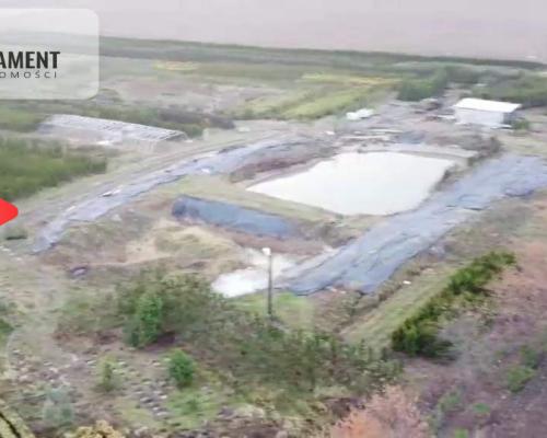 Duża działka 1,73 ha/szkółka drzew iglastych...