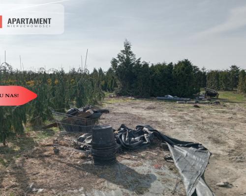 Duża działka 1,73 ha/szkółka drzew iglastych...