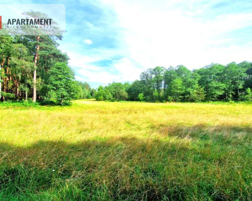 Działka z linią brzegową w Borach Tucholskich