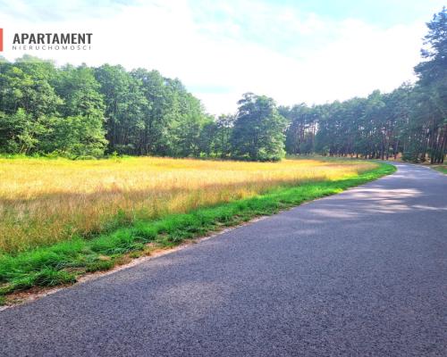 Działka z linią brzegową w Borach Tucholskich