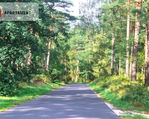 Działka z linią brzegową w Borach Tucholskich