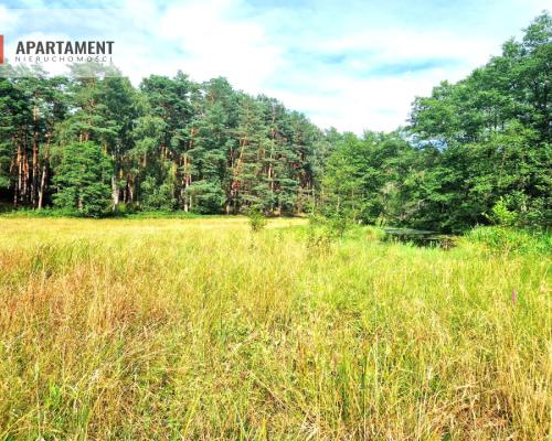 Działka z linią brzegową w Borach Tucholskich