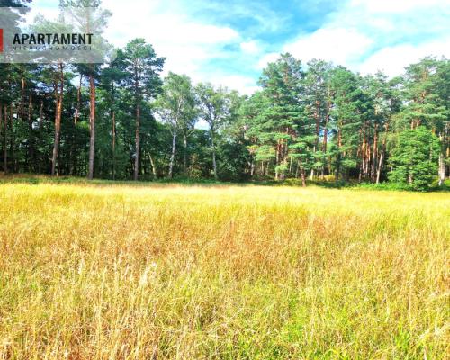 Działka z linią brzegową w Borach Tucholskich