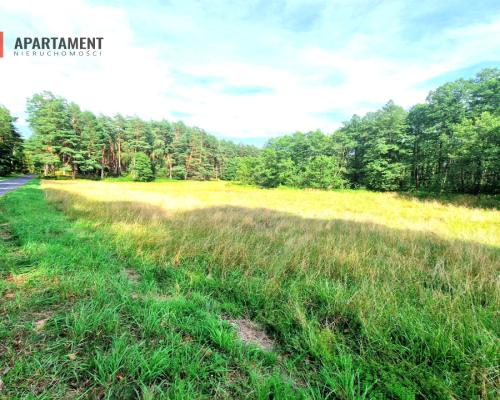 Działka z linią brzegową w Borach Tucholskich