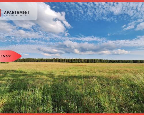 Działka budowlana w okazyjnej cenie! Blisko Piły.