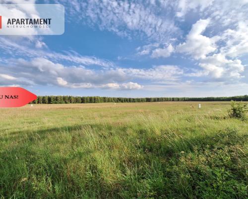 Działka budowlana w okazyjnej cenie! Blisko Piły.