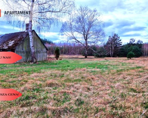 Działka budowlana z drewnianym domkiem.Tylko u nas