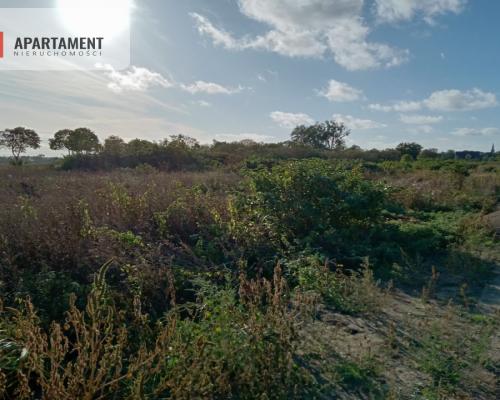 Działki budowlane w Szubinie