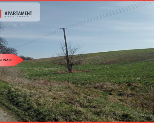 Cicha okolica, warunki zabudowy- TYLKO U NAS!